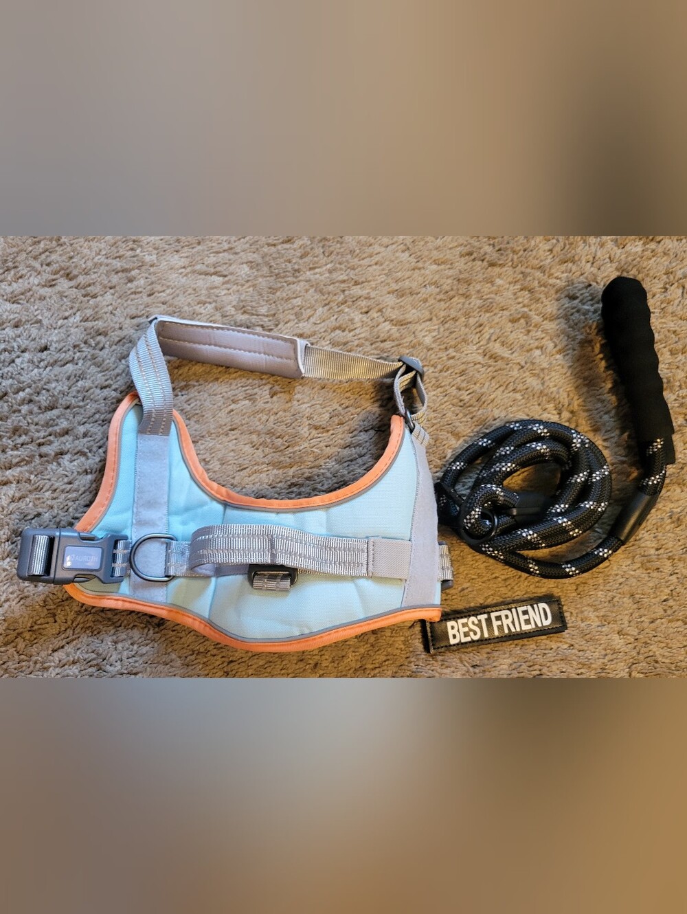 Light Blue & Peach Reflective Dog Harness with Leash